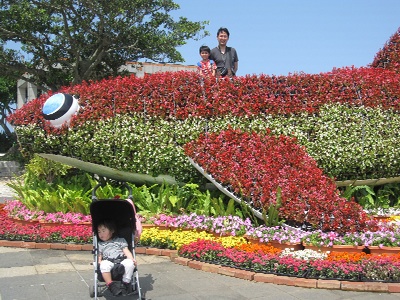 ジンベイザメの花壇1 ジンベイザメの花壇1