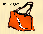 bag