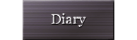 diary
