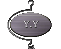 Y.Y